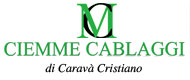 logo CM Cablaggi
